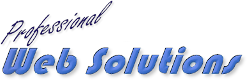 Professional Web Solutions